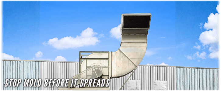 Air Duct Mold Removal in Staten Island