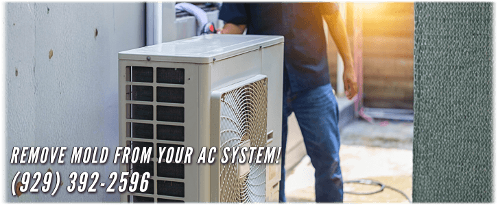 HVAC Mold Removal Staten Island
